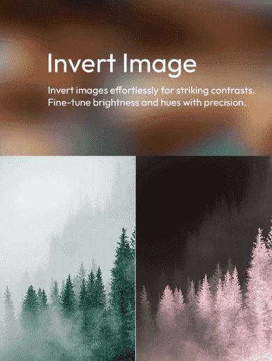 Invert Image