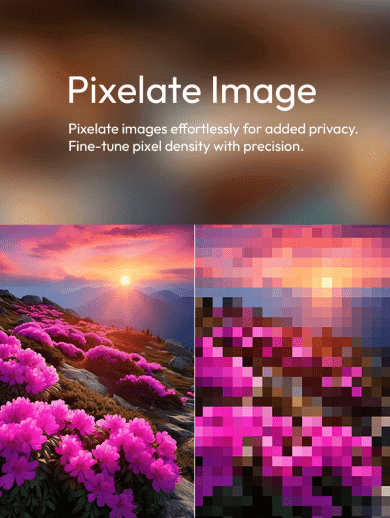 Pixelate Image